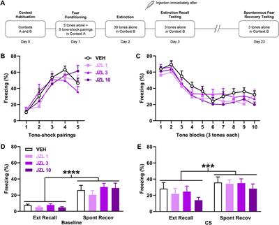 Endocannabinoid metabolism inhibition has no effect on spontaneous fear recovery or extinction resistance in Lister hooded rats